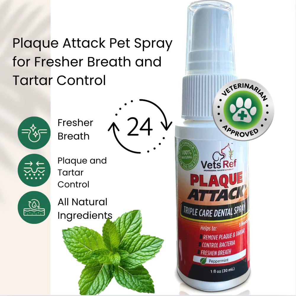 Plaque Attack application tip demonstrates daily use for reducing plaque buildup in dogs.