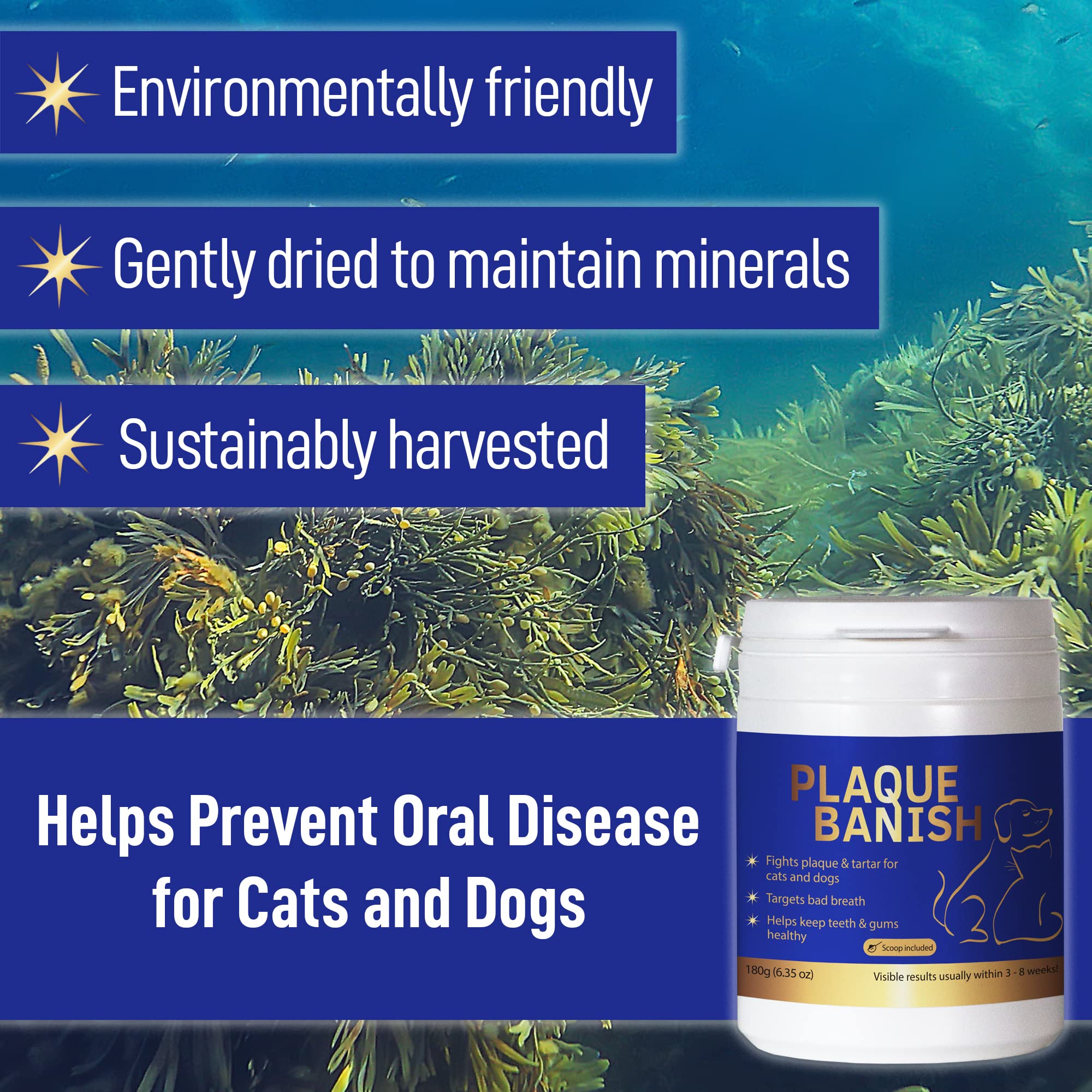 Plaque Banish natural ingredients label highlights natural formula