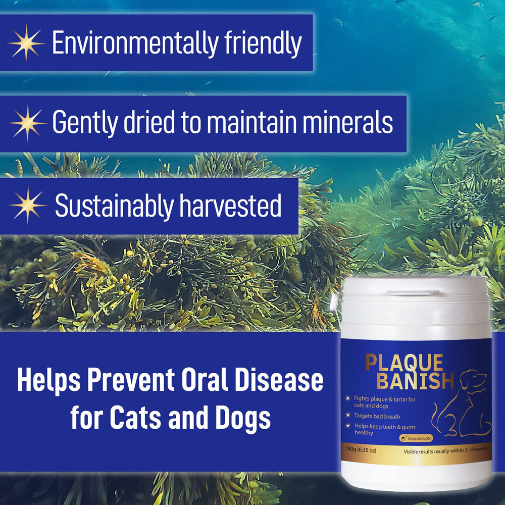 Plaque Banish natural ingredients label highlights natural formula