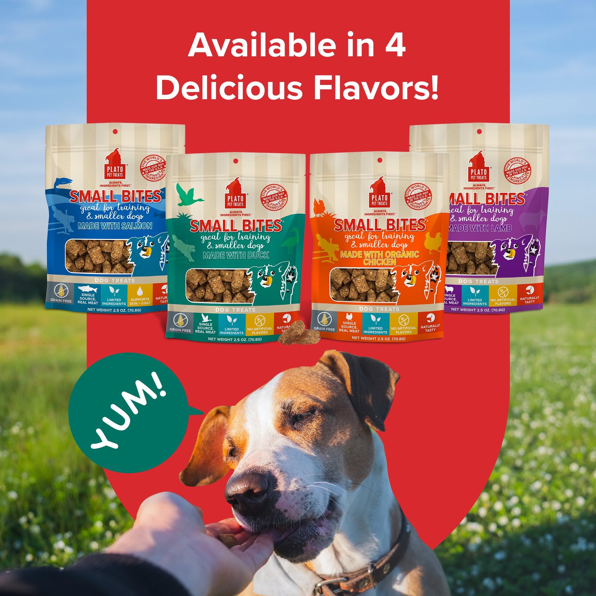 PLATO grain-free real-meat-duck bites emphasize protein-rich snacking for active dogs.