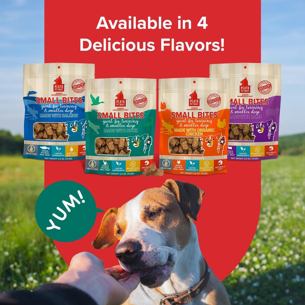 PLATO grain-free real-meat-duck bites emphasize protein-rich snacking for active dogs.