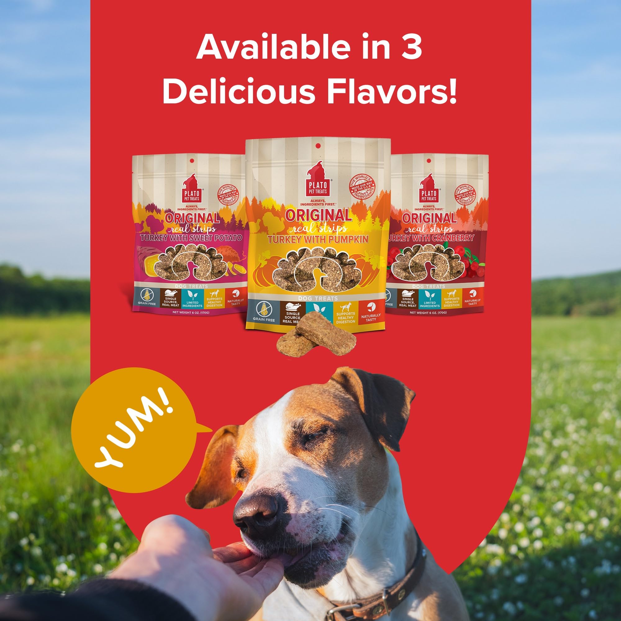 PLATO Real Strips grain-free formula without corn wheat or soy