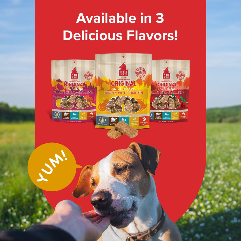 PLATO Real Strips grain-free formula without corn wheat or soy