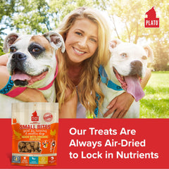 PLATO Small Bites grain-free-form plate for sensitive digestion support.
