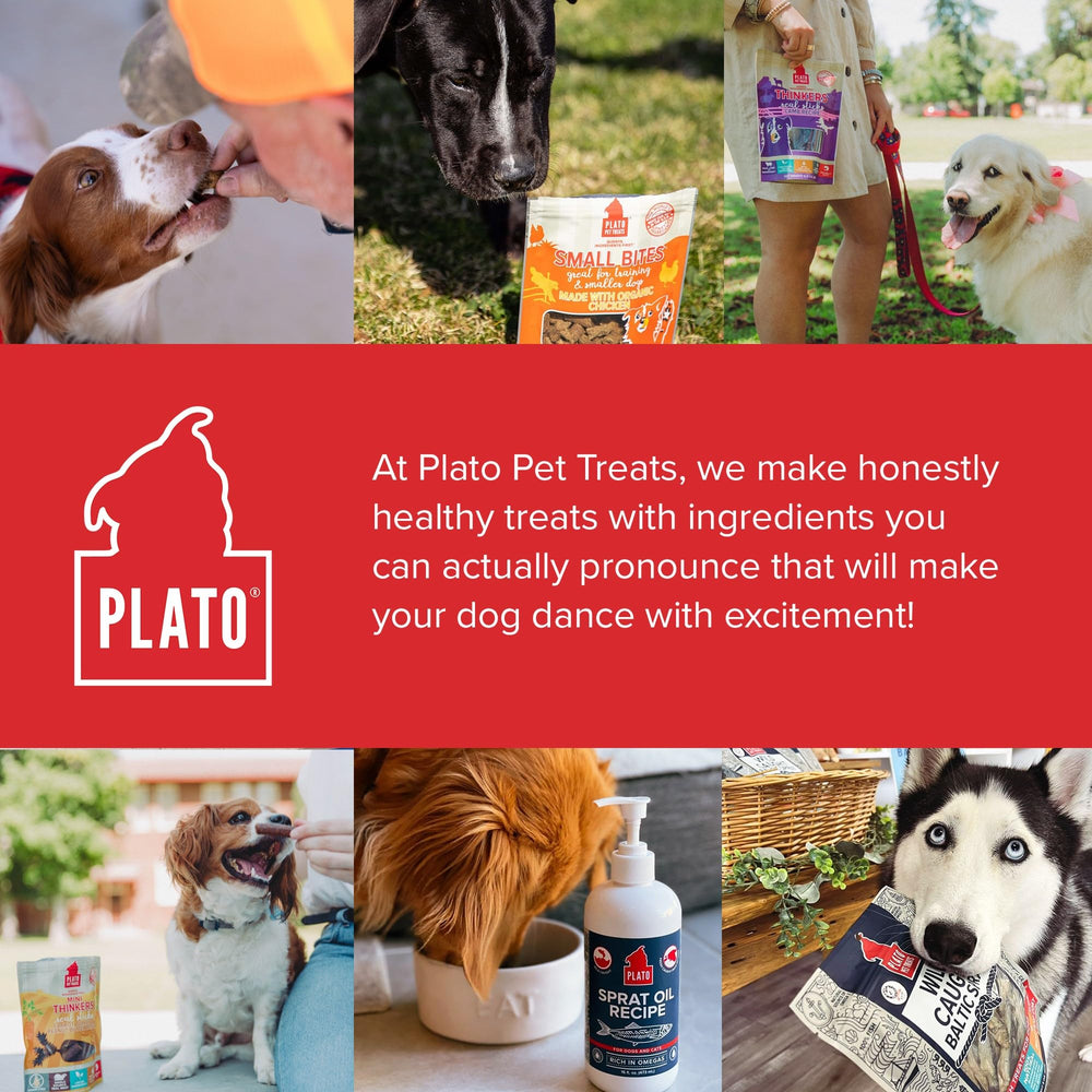 PLATO Thinkers Salmon rewards for training and daily treats.