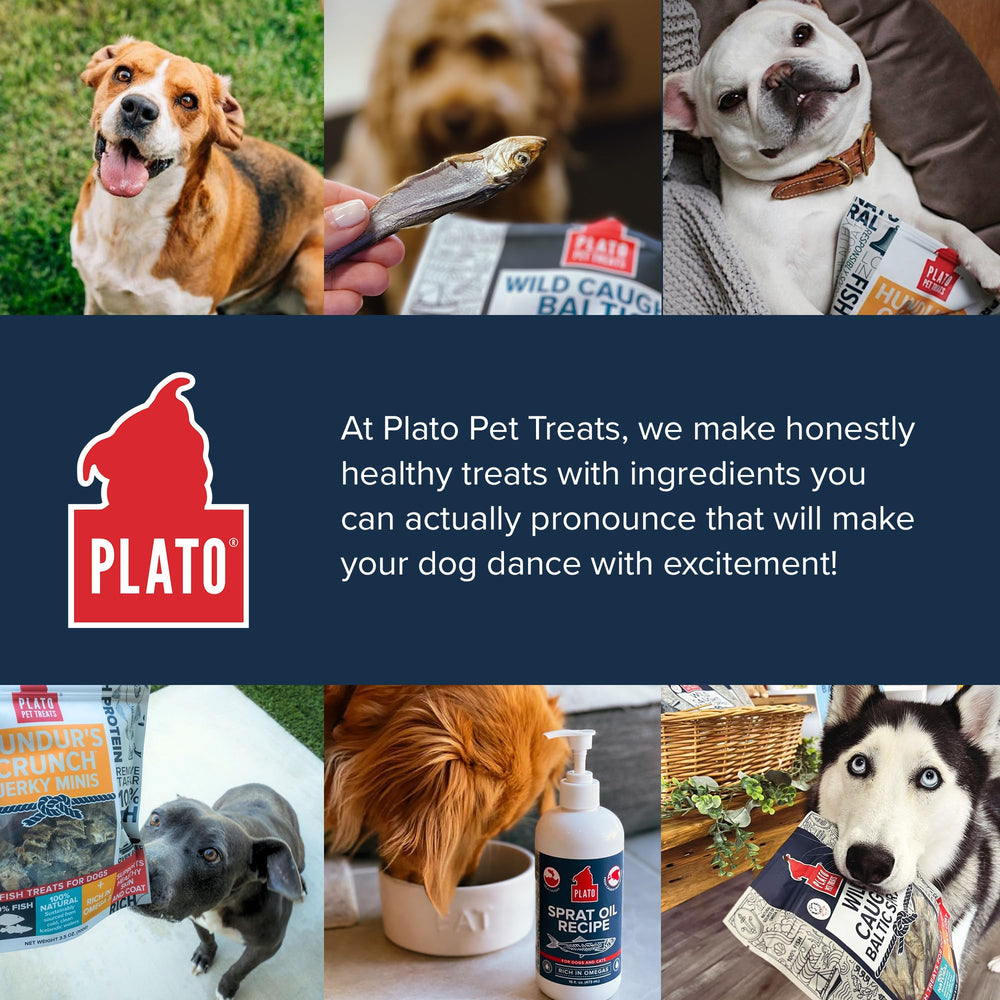PLATO Baltic Sprat rewards are ideal for training or everyday treats.