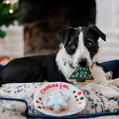 P.L.A.Y Merry Woofmas AZO-free dyes and Planet Fill recycled materials