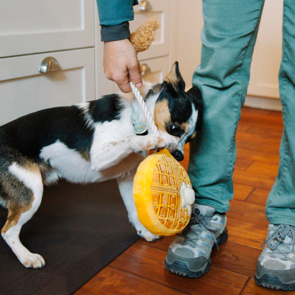 P.L.A.Y. recycled plastic bottle filling close-up.