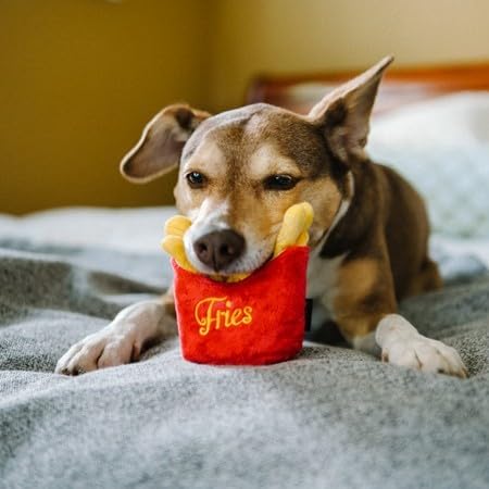 P.L.A.Y. two sizes fit small to large dogs