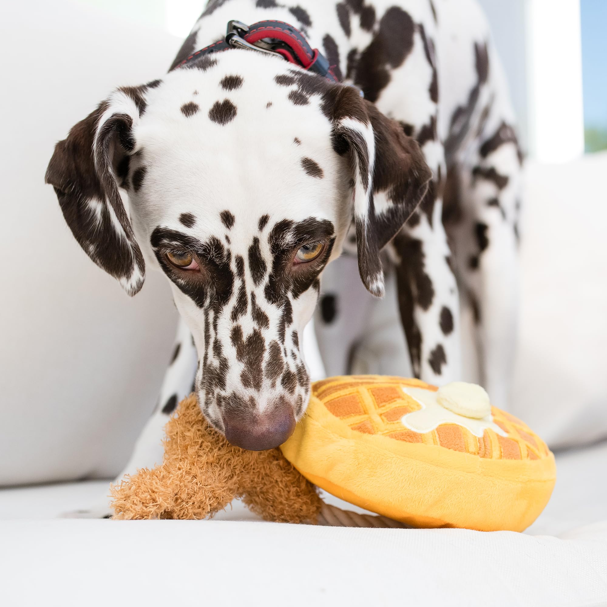 P.L.A.Y. XS size plush toy for small dogs.