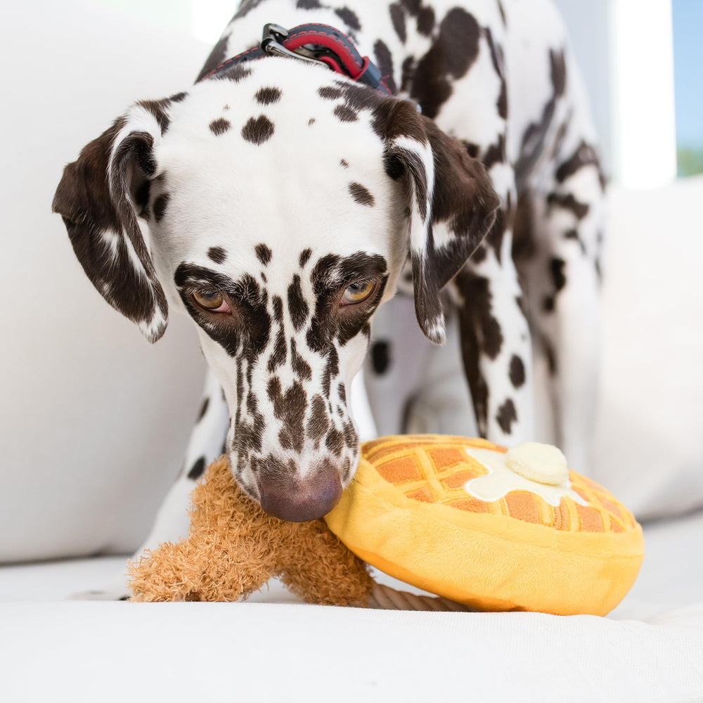 P.L.A.Y. XS size plush toy for small dogs.