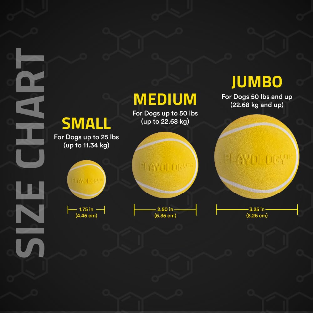 Playology 2-Pack Value: double the fun for shared play sessions.