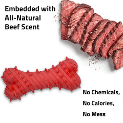 Playology Beef-scented Teething Bone close-up with natural aroma and chew appeal.