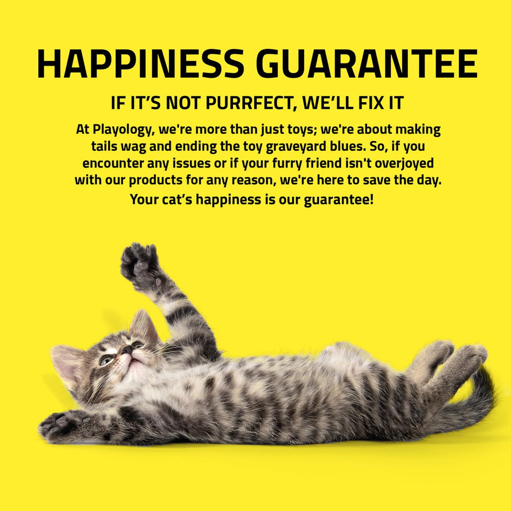 Playology cat toy bird chase play session to entertain indoor cats