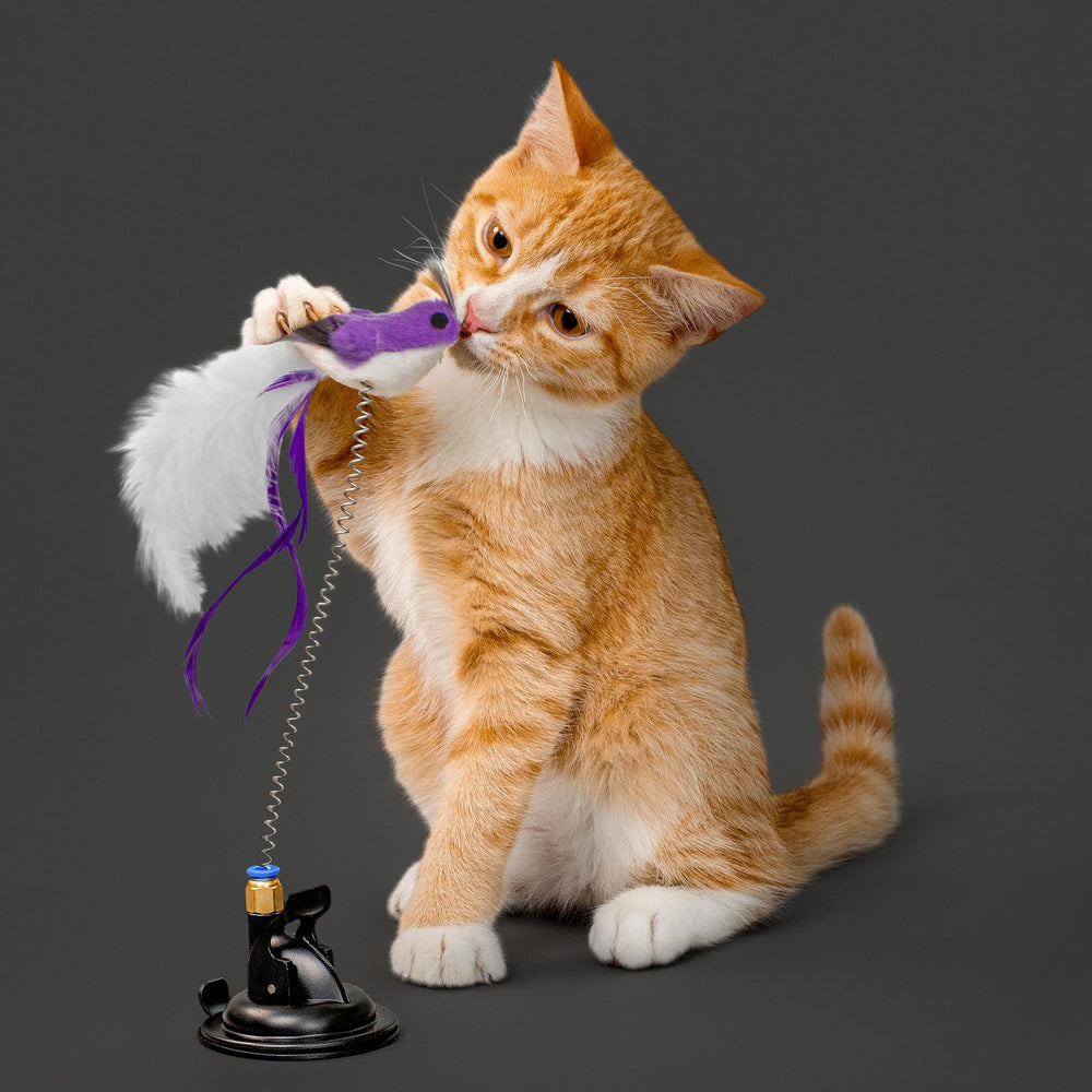 Playology cat toy lifelike birds in action sparks pouncing and chasing fun