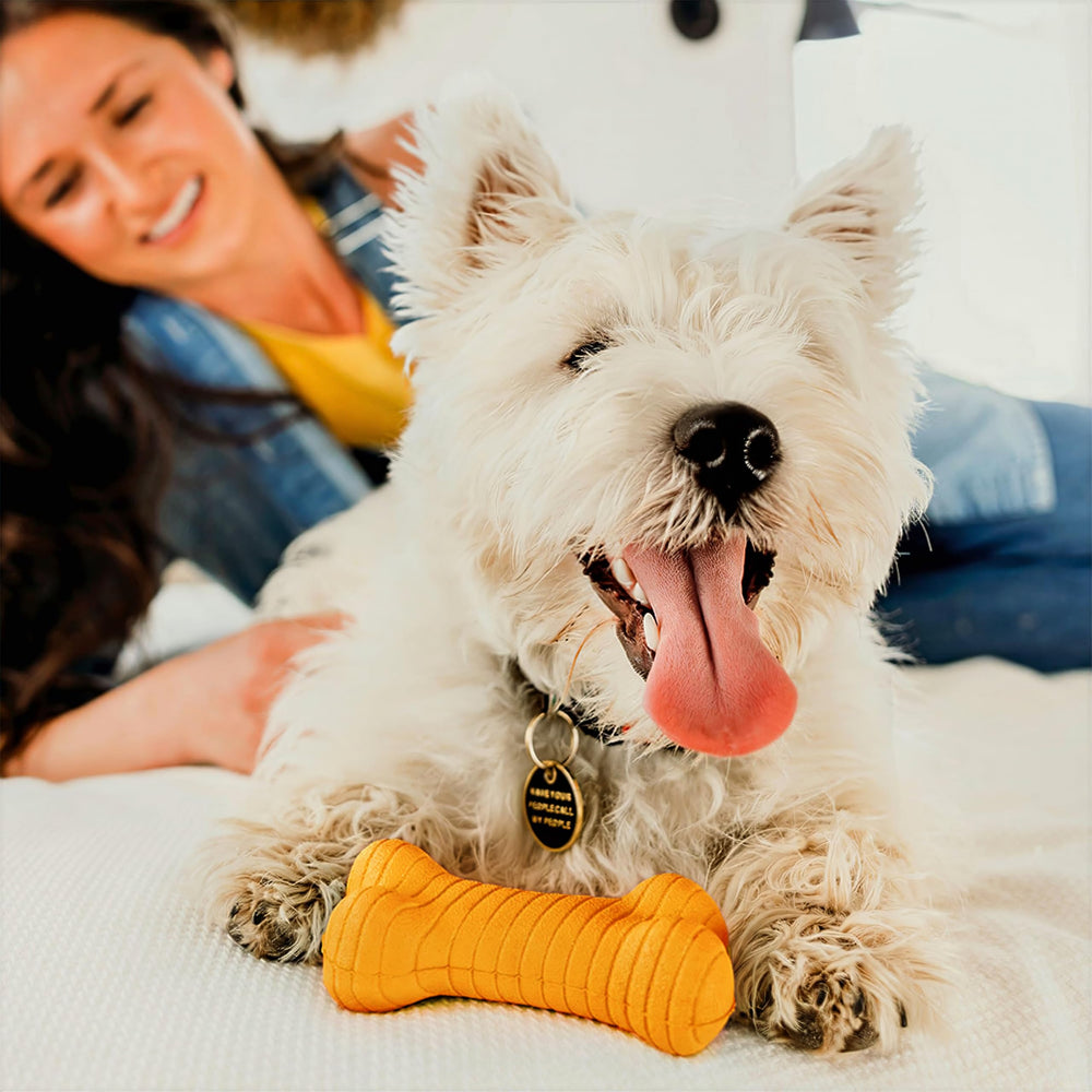 Playology cheddar-scent bone toy for medium dogs ready for engaging sessions.