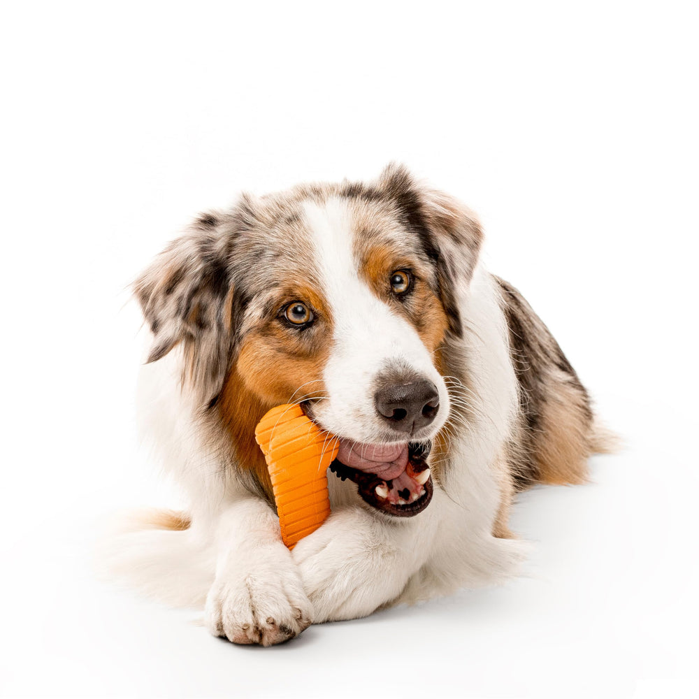 Playology cheddar-scent Encapsiscent image demonstrating embedded scent for longer engagement.