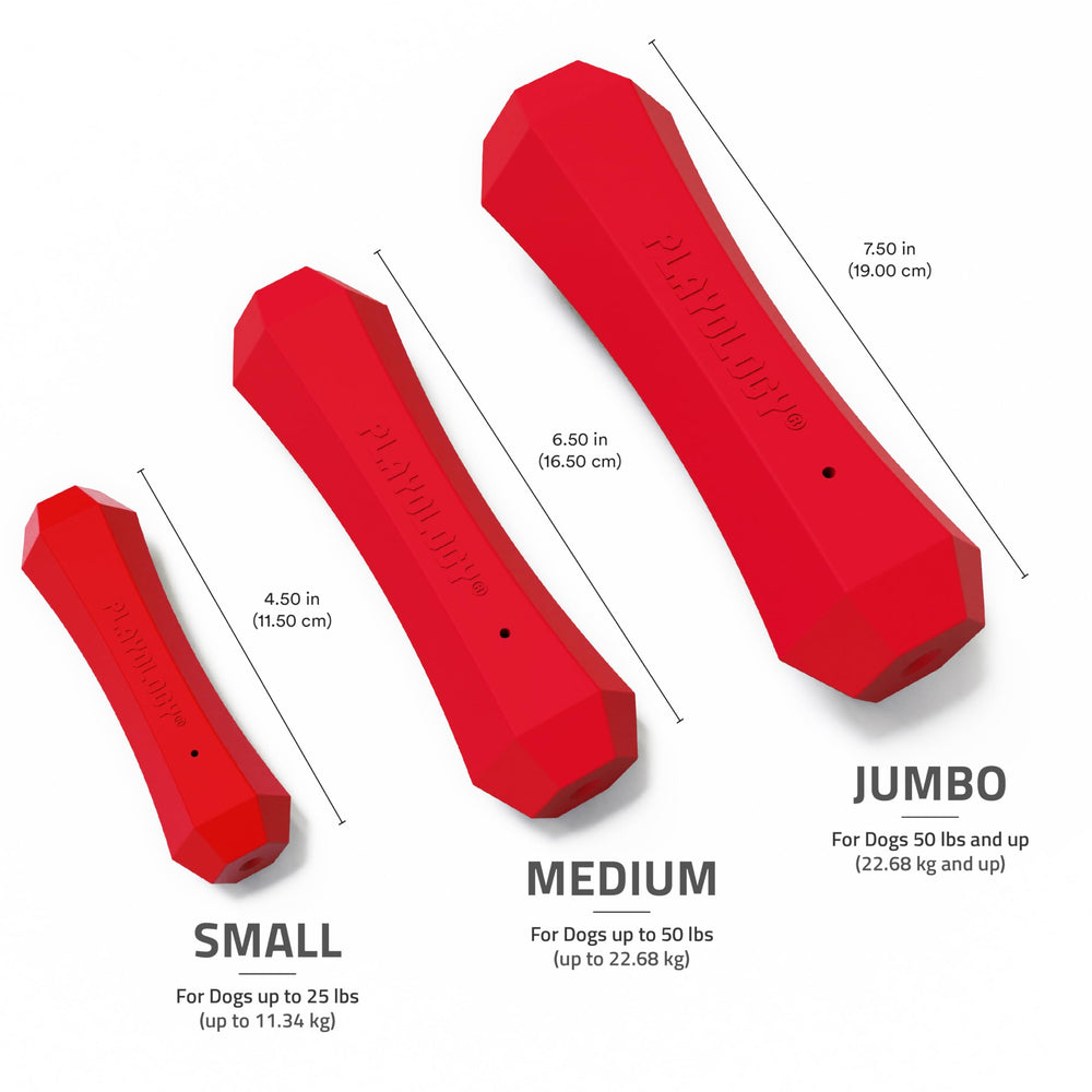 Easy-clean dog toy from Playology—rinse with warm water to refresh.