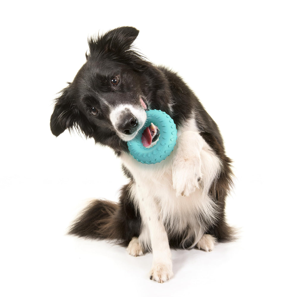 Playology dog toy outdoor play session supports active fetch and chewing fun.