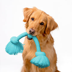 Playology Dri-Tech Rope Toy indoor action with a large dog.