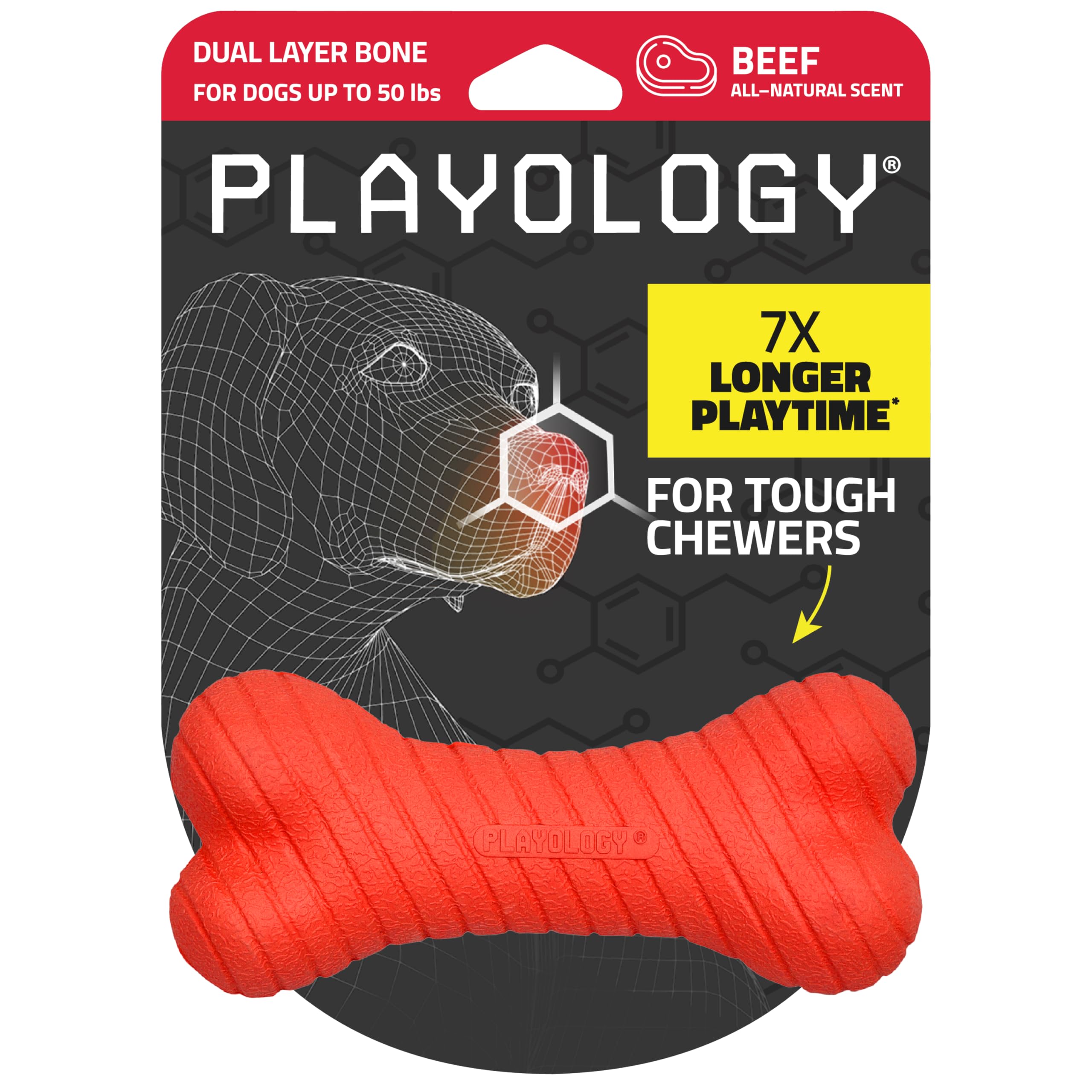 Playology dual-layer bone beef scent toy for dogs, durable chew toy