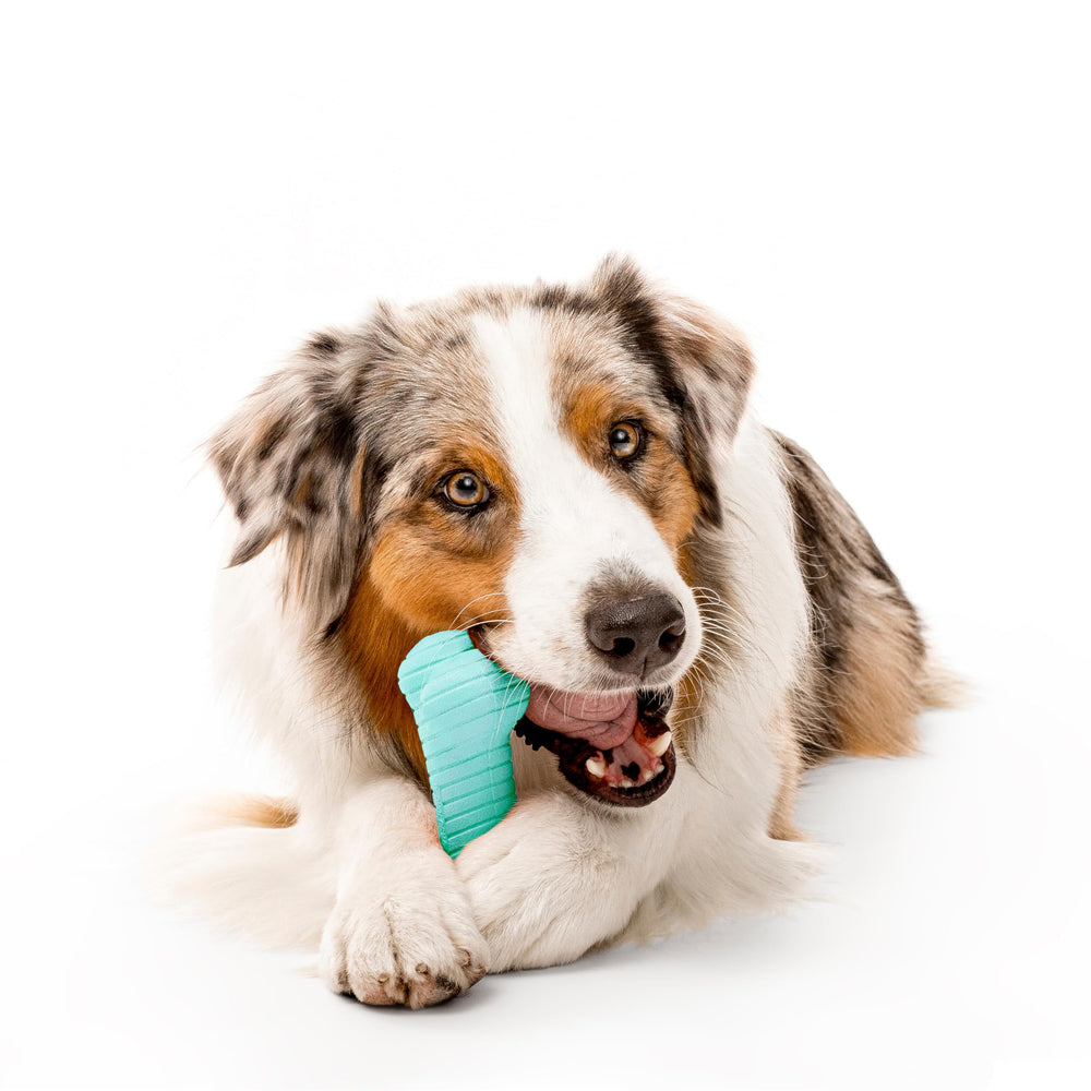 Playology Dual Layer Bone blue color featured for engaging chewers.