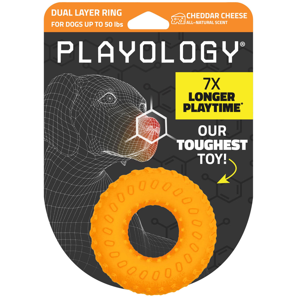 Playology dual-layer ring chew toy; rugged construction ideal for aggressive chewers during indoor play.