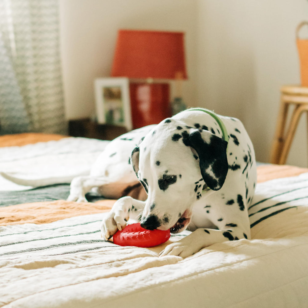 Playology durable non-toxic materials emphasize safety and long-term use during indoor and outdoor play.