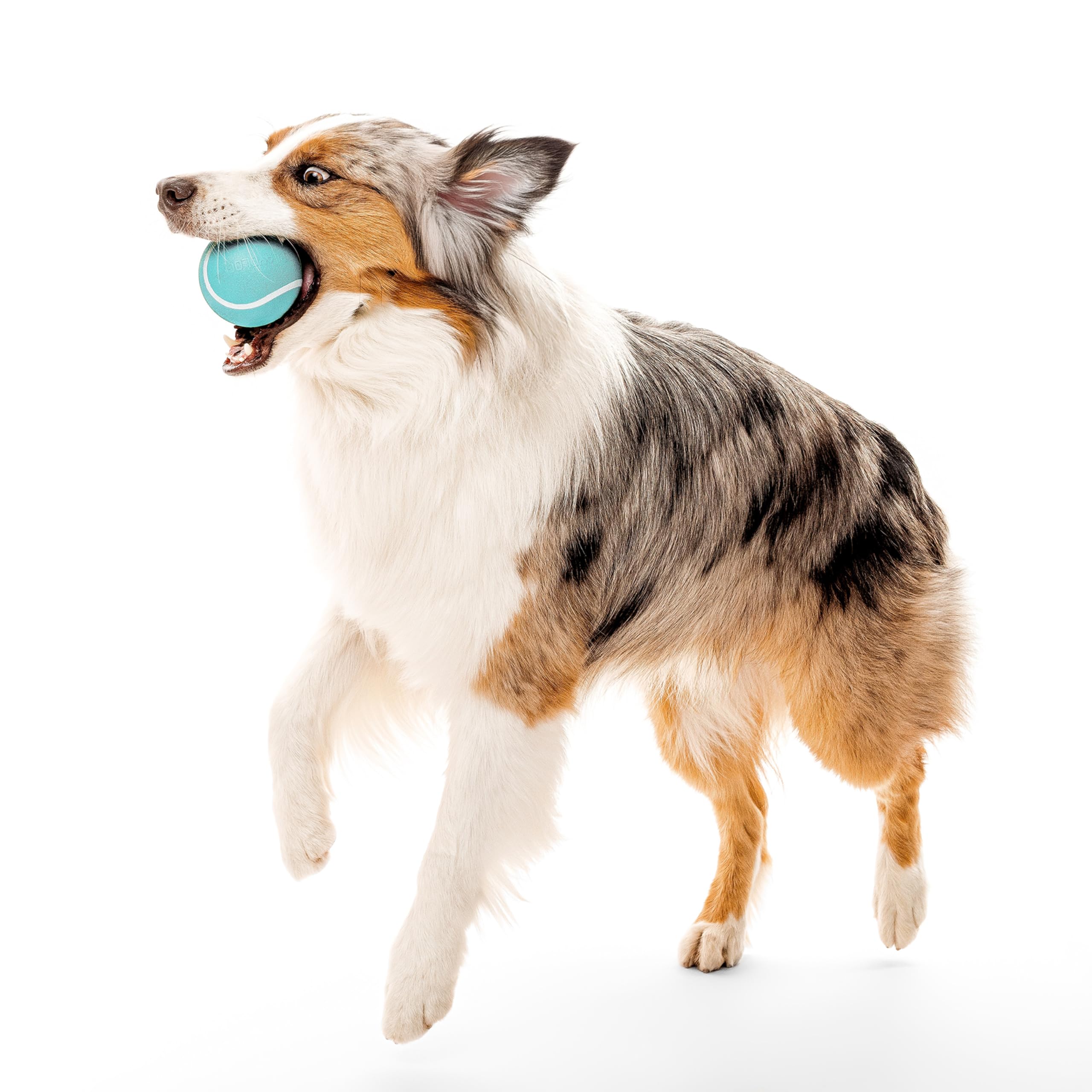 Playology durable rubber ball designed for indoor and outdoor dog play