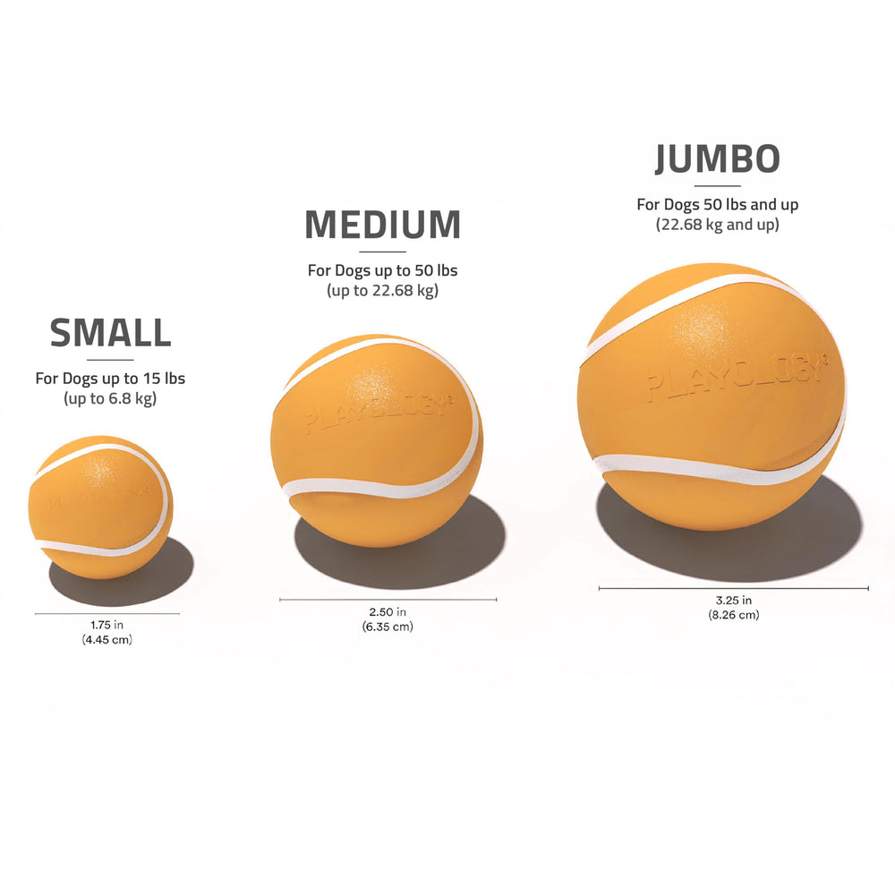 Playology Easy-To-Clean Toy — quick post-play cleanup.