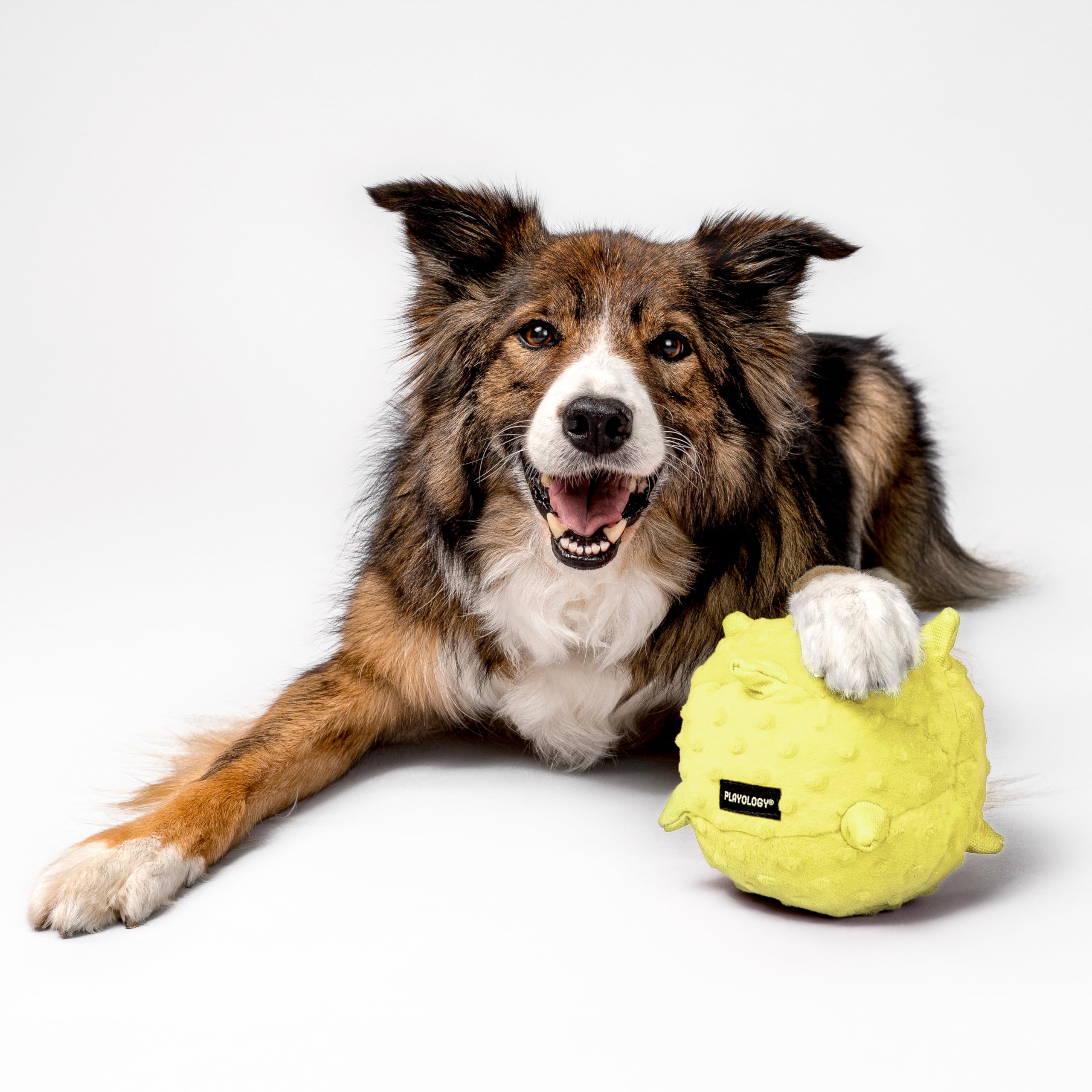 Playology easy-clean non-toxic dog toy is machine washable for quick maintenance.