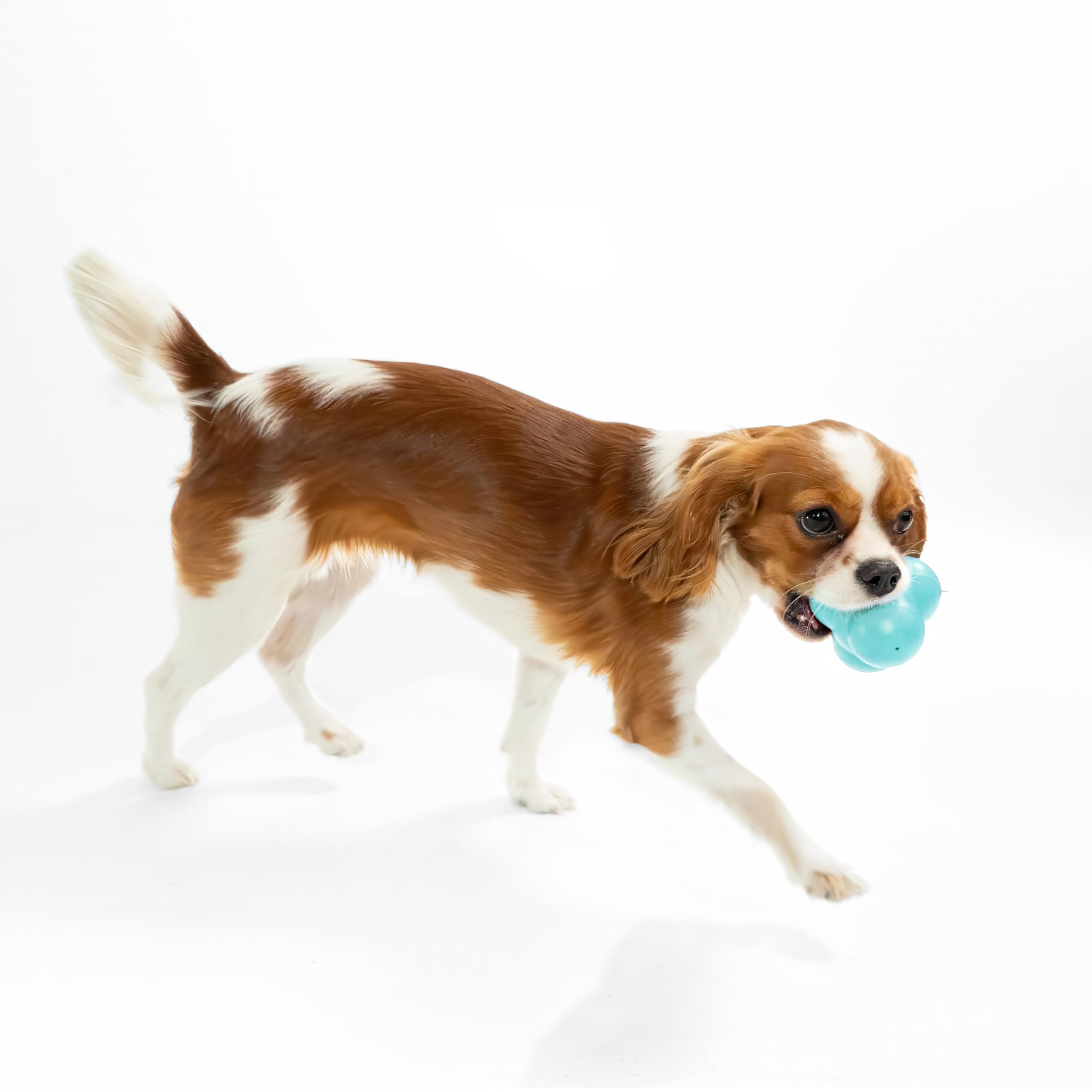 Playology easy-to-clean dog toy rinses quickly after muddy outdoor adventures.