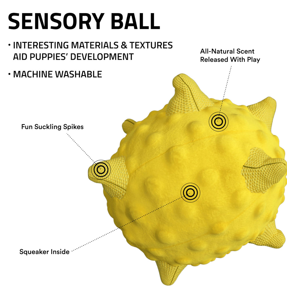 Playology Encapsiscent all-natural scent boosts long-lasting scent in dog toy.