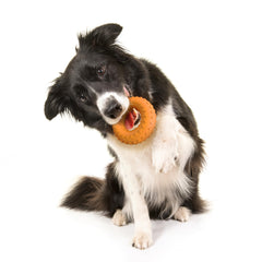 Playology Encapsiscent scent toy; long-lasting natural aroma enhances interactive fetch and chew sessions.