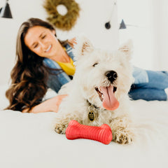 Playology Encapsiscent beef scent close-up showing long-lasting aroma