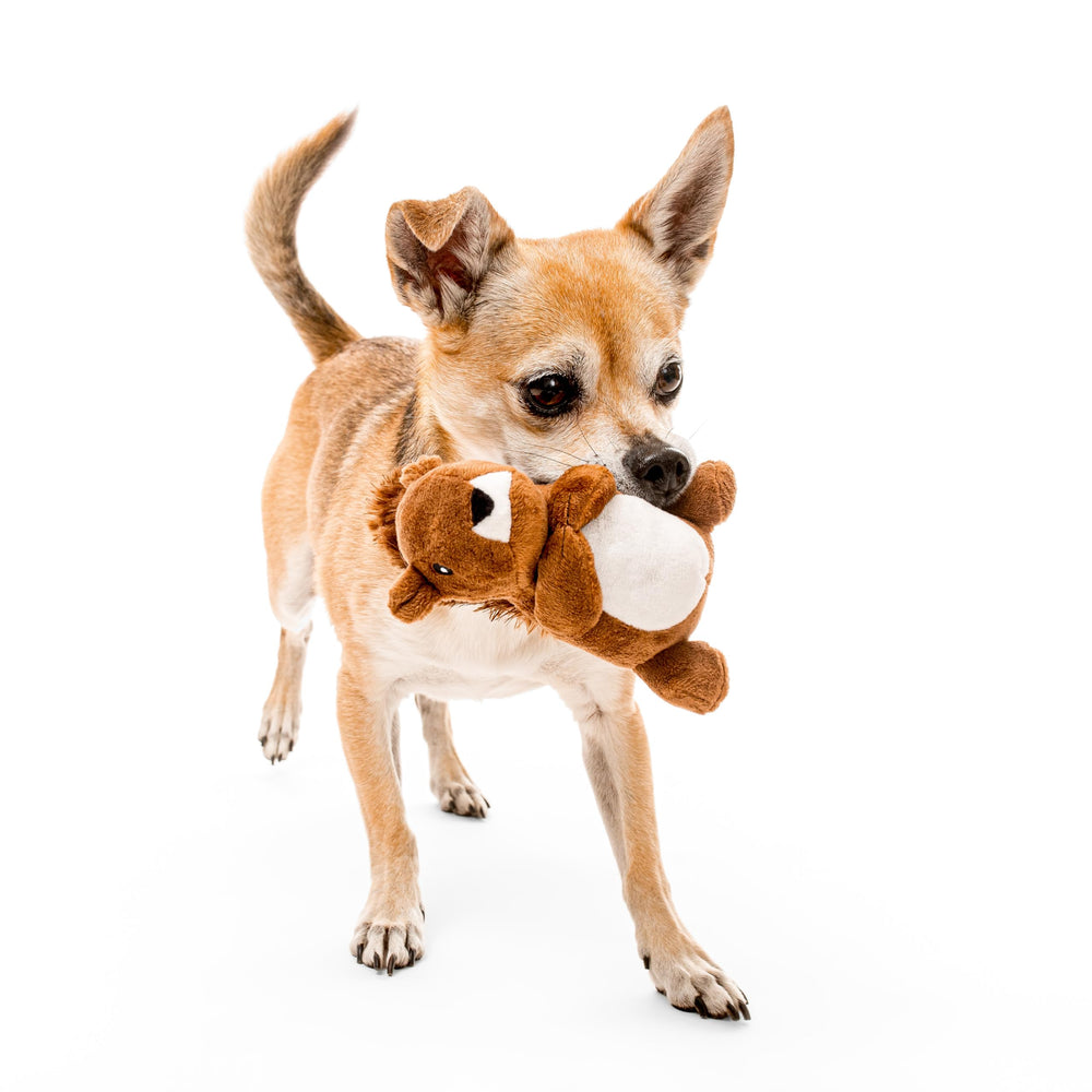 Playology encapsiscent technology dog toy illustration of embedded scent for longer engagement.