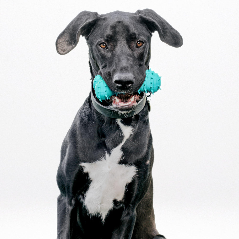 Playology Encapsiscent Technology embedded scent release scene improves engagement.