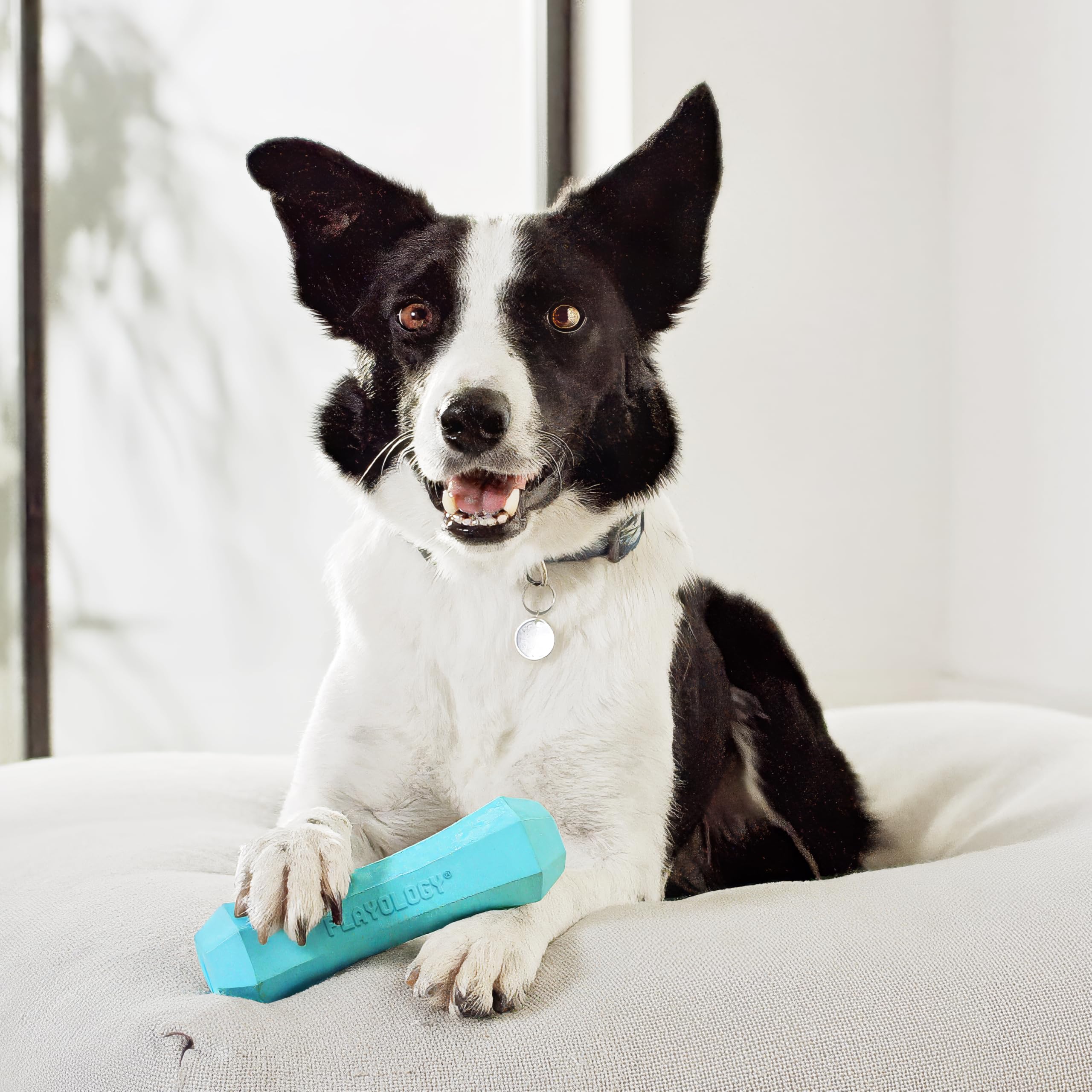 Playology floating squeaky stick perfect for water fetch and pool days.