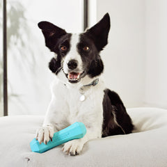 Playology floating squeaky stick perfect for water fetch and pool days.