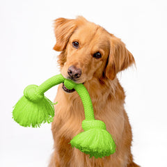 Playology heavy-duty rope for dogs demonstrates indoor outdoor durability for large breeds