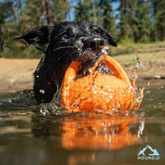 Playology Hound2O easy-clean rubber surface ready after play