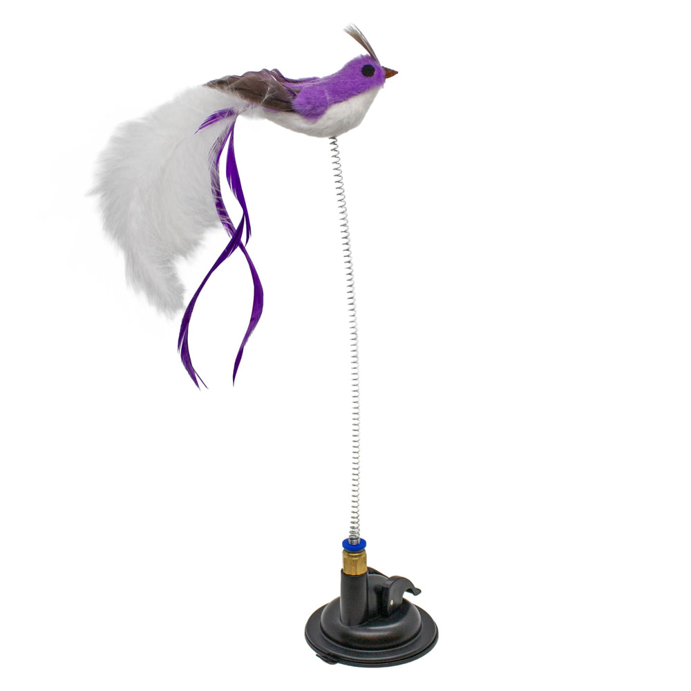 Playology indoor-cat-joy-play demonstrates engaging movement that entertains cats indoors