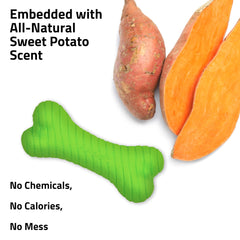 Playology indoor-outdoor chew toy in vibrant green suitable for year-round play.