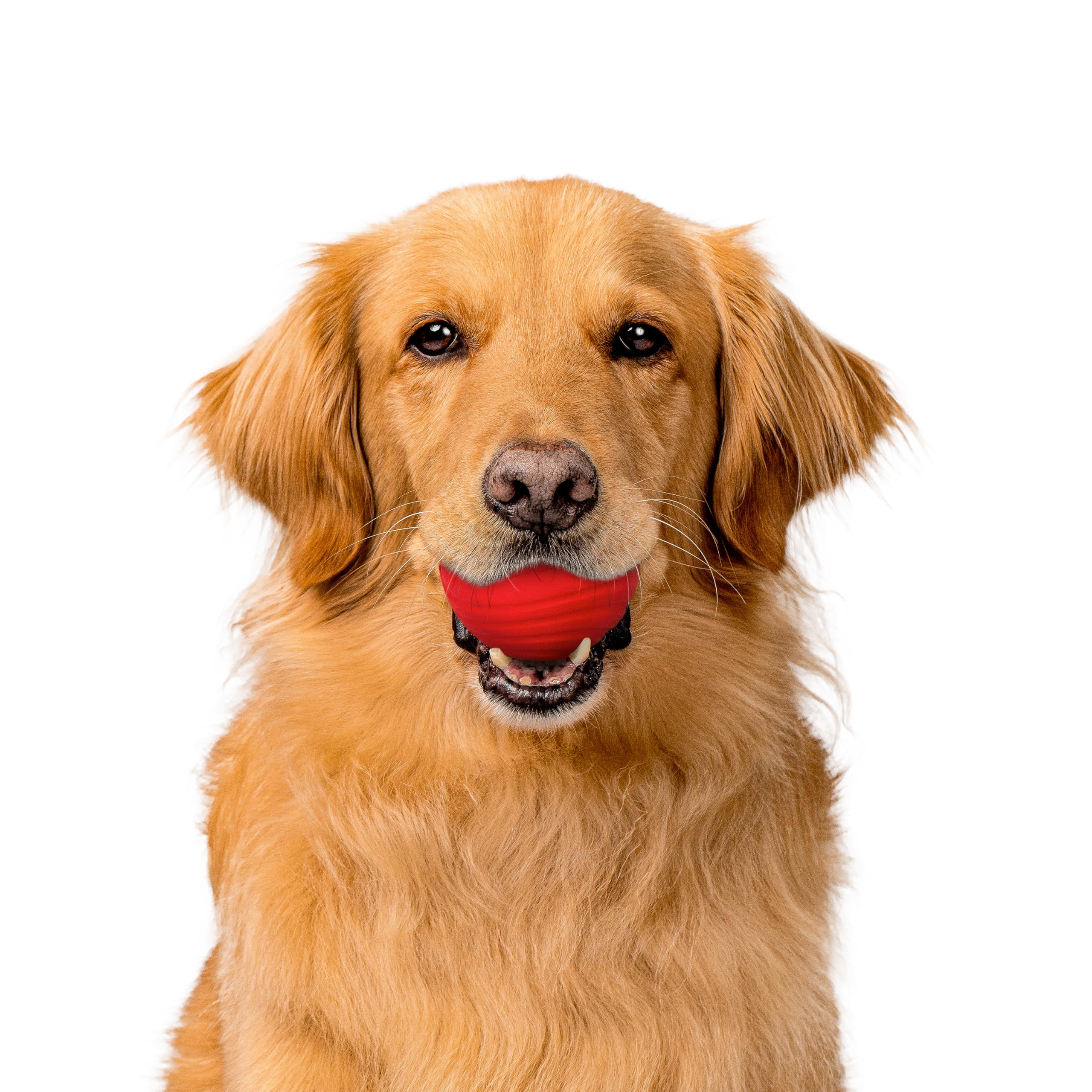 Playology jumbo beef-scent dog ball for big breeds