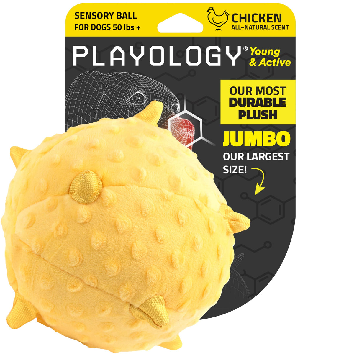 Playology jumbo chicken-scented plush dog ball for extended indoor and outdoor play.