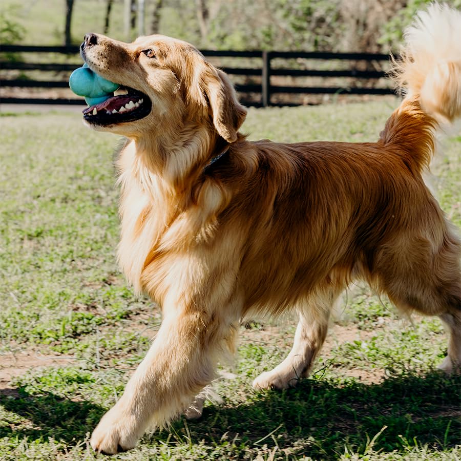 Playology jumbo peanut butter-scented toy attracts dogs and encourages longer play sessions.