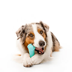 Playology Jumbo Sampler Box exterior designed for large dogs.