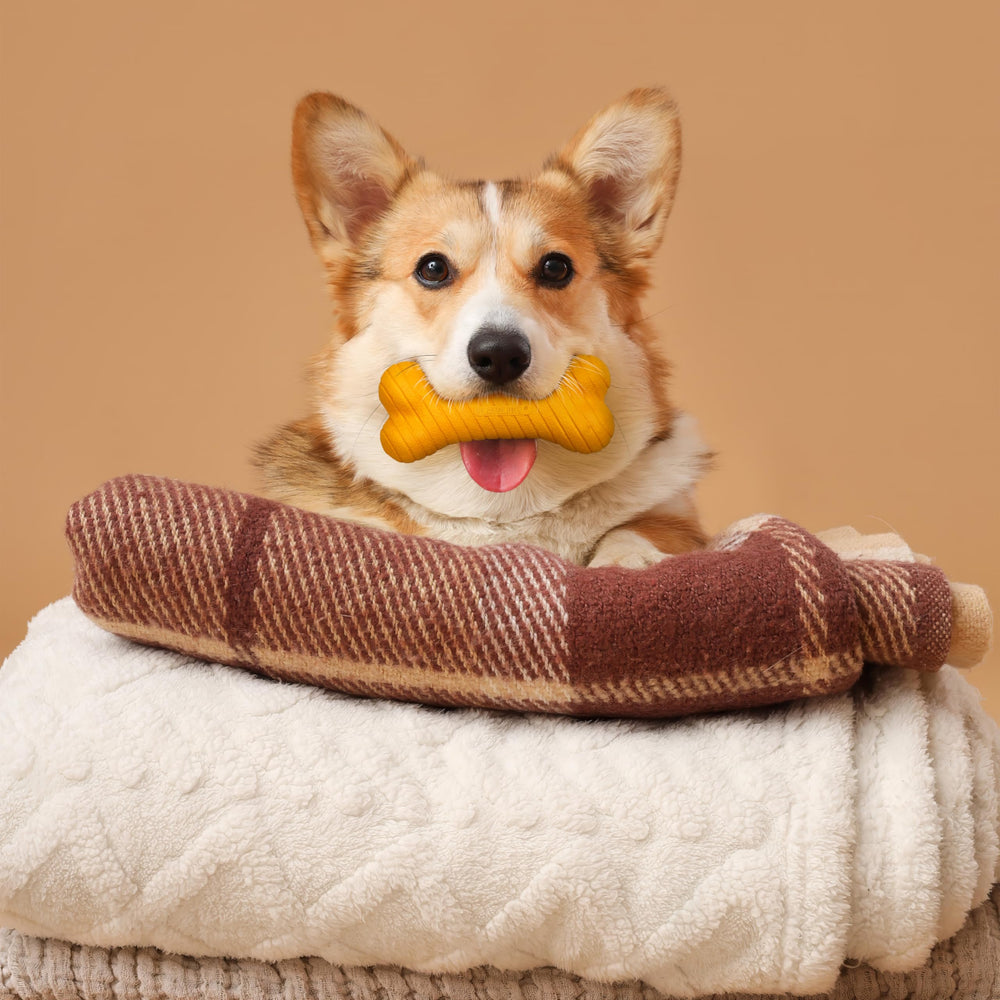 Playology medium dog chew toy designed for medium breeds up to 50 pounds