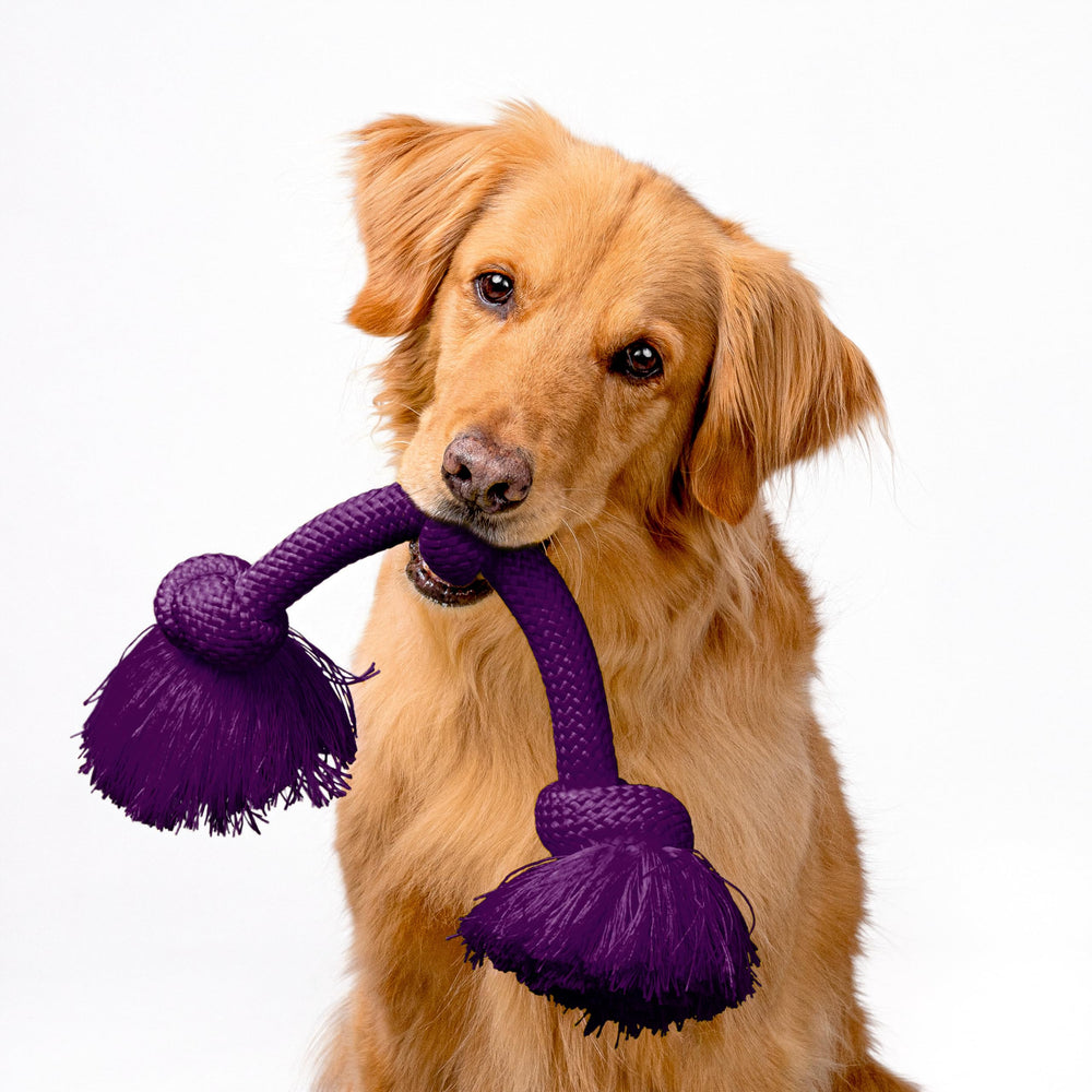 Playology medium-dog rope toy designed for dogs up to 50 lbs.
