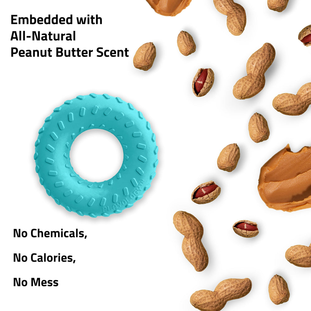 Playology peanut butter scent dog toy enhances interactive play sessions.
